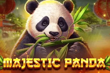 slo789 nền tảng cá cược trực tuyến Việt Nam